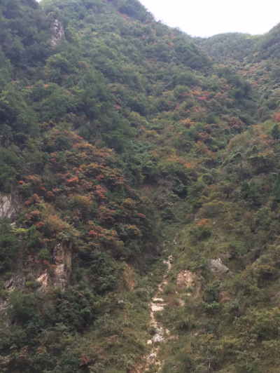 反馈客服留言投诉建议售后服务