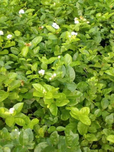 拼车未编辑专业未编辑专业未编辑专业