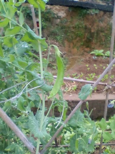 拼车未编辑专业未编辑专业未编辑专业