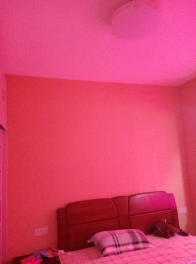 墙纸安装施工墙布安装施工未编辑专业未编辑专业