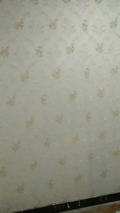 墙纸施工专业墙纸施工未编辑专业未编辑专业