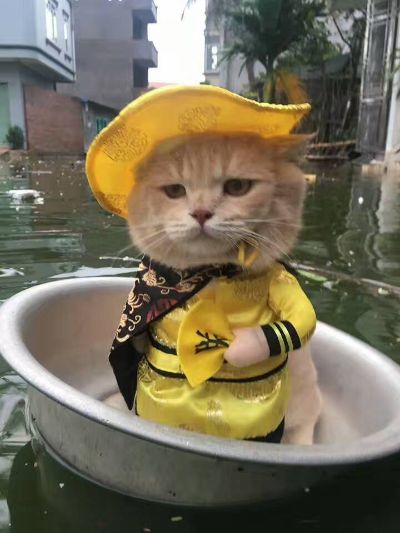 兼职刷单兼职发帖未编辑专业未编辑专业