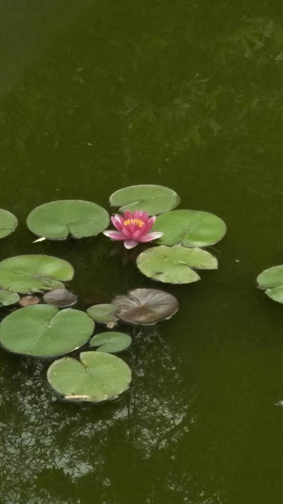 安装各种安装未编辑专业未编辑专业