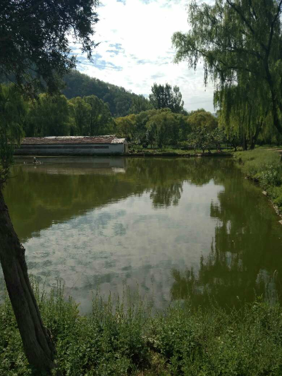 装修设计安装维修维修安装