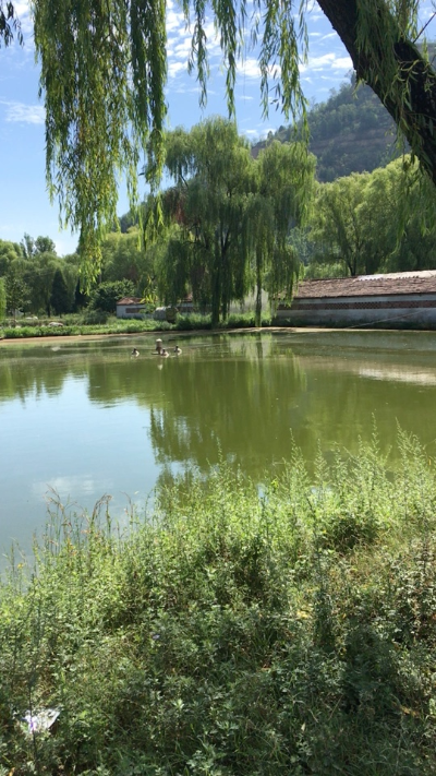 反馈客服留言投诉建议售后服务