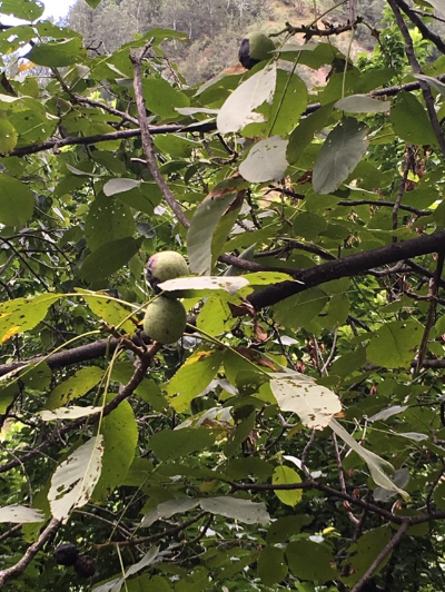 反馈客服留言投诉建议售后服务