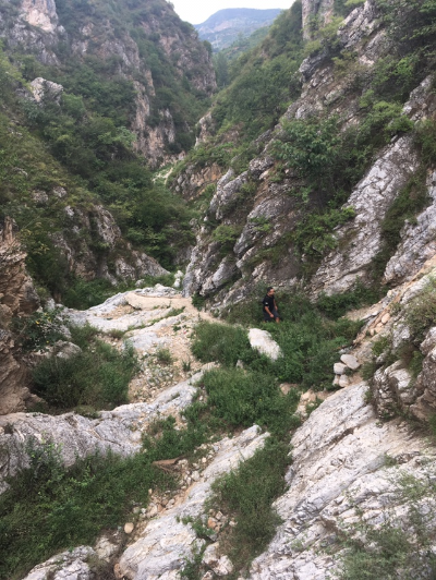 反馈客服留言投诉建议售后服务