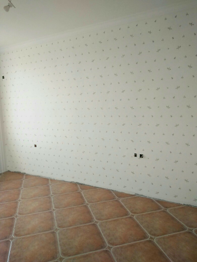 贴壁纸未编辑专业未编辑专业未编辑专业