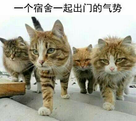 电路检修水路维修安装未编辑专业未编辑专业