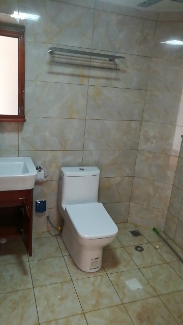 洁具安装马桶，洗脸盆五金挂件未编辑专业