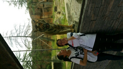 木业售后补漆专业家具安装专业家具维修未编辑专业