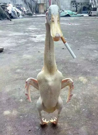 电工水电工未编辑专业未编辑专业