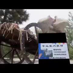 专业室内装修墙面翻新未编辑专业未编辑专业