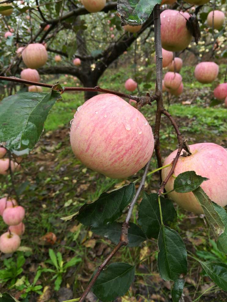 反馈客服留言投诉建议售后服务