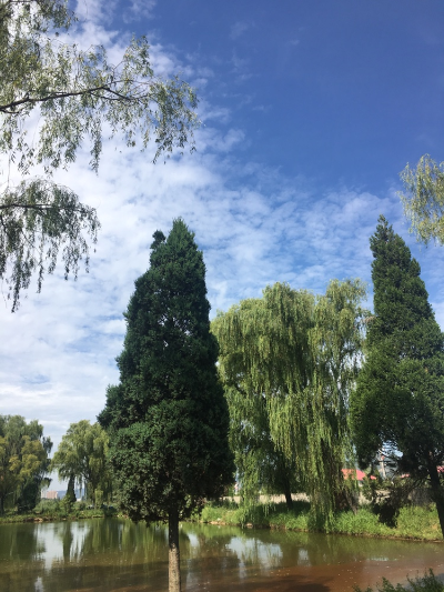 开发软件编程无java开发工程师