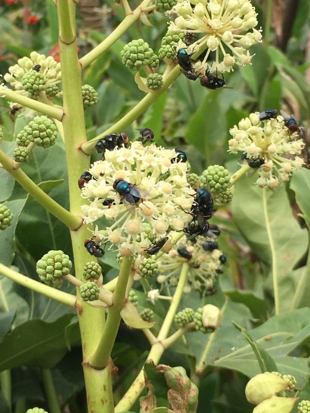 反馈客服留言投诉建议售后服务