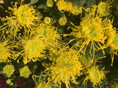 家具安装环保装修翻新家具维修培训家具维修材料