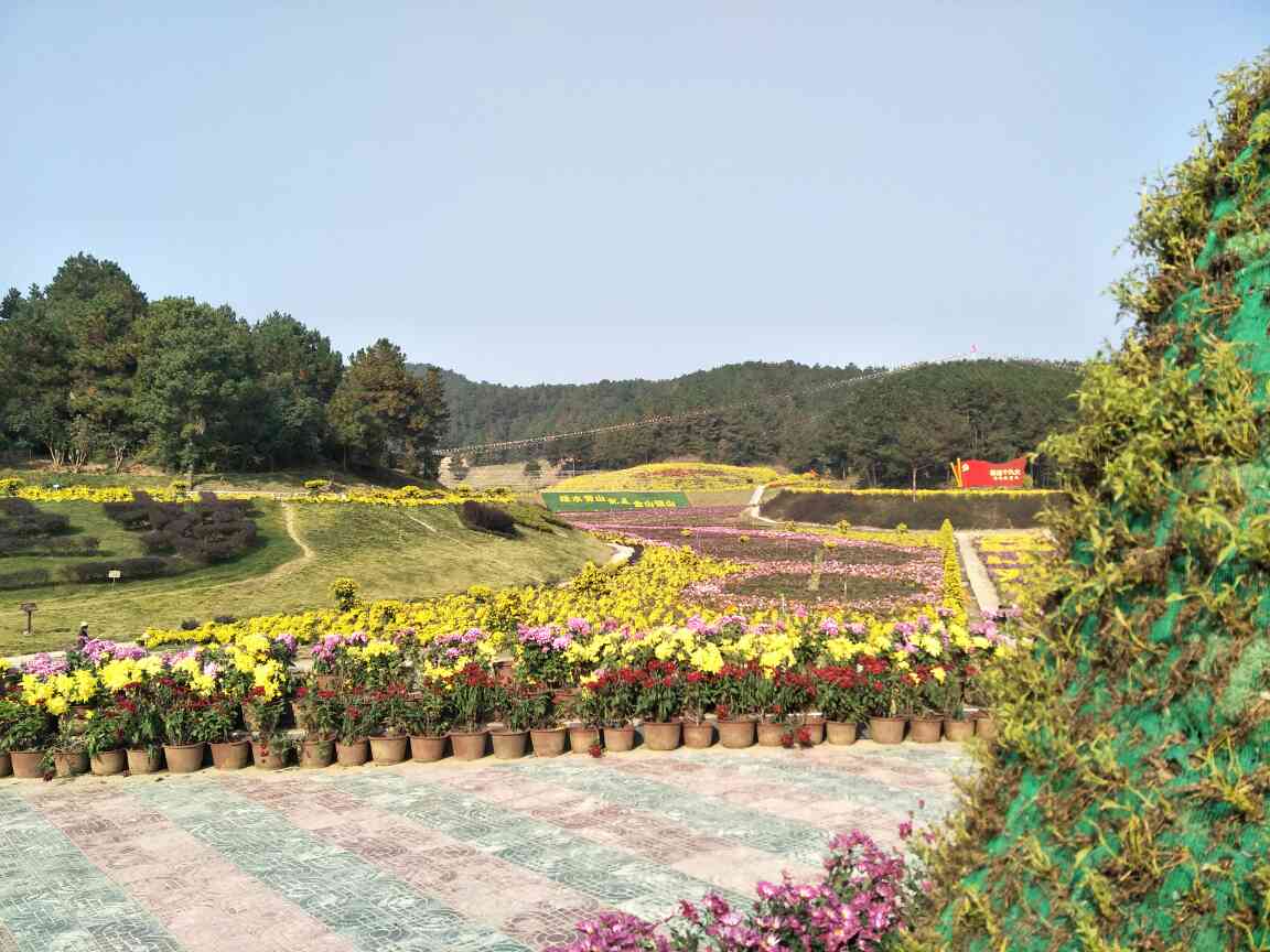 装饰油漆工建筑装饰油漆油漆装修未编辑专业