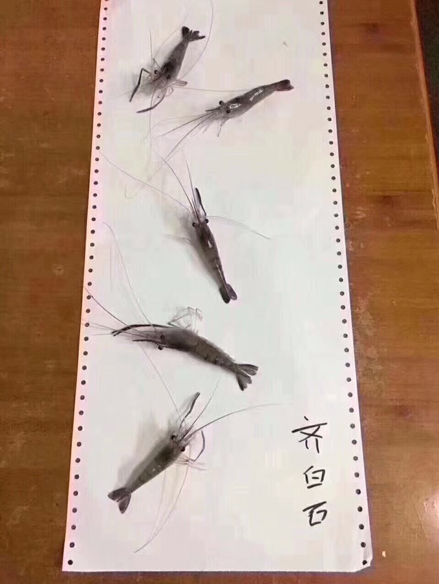 弱电音响家装弱电多媒体未编辑专业未编辑专业