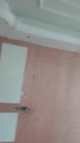 油漆家装油漆活未编辑专业未编辑专业