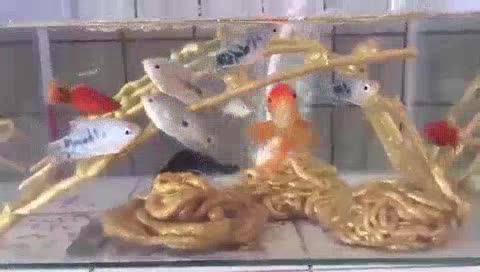 瓷砖美缝未编辑专业未编辑专业未编辑专业