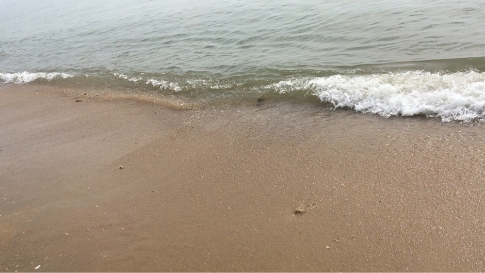 反馈客服留言投诉建议售后服务