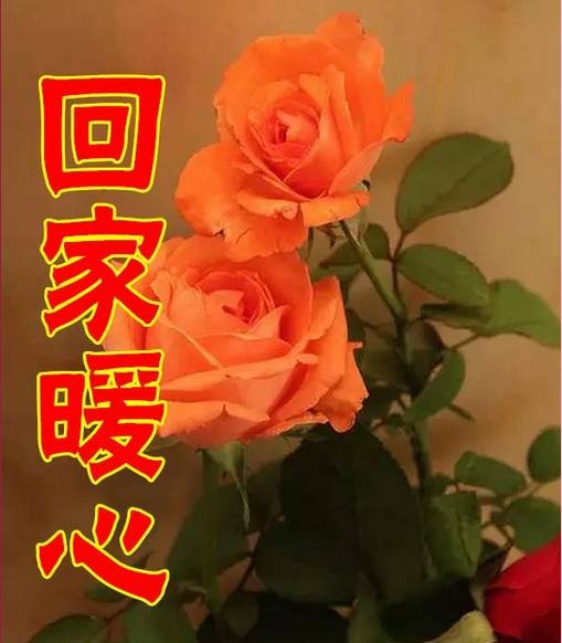 保洁专业保洁专业保洁未编辑专业