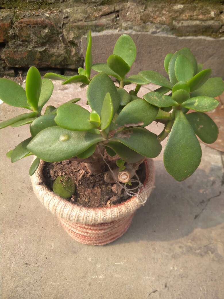 房屋改造未编辑专业未编辑专业未编辑专业