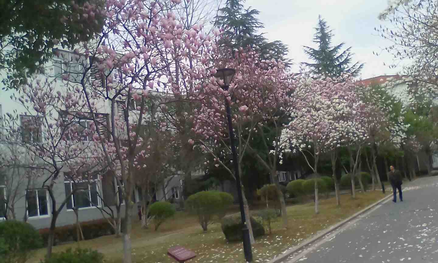 家庭保洁保洁服务员阿姨保洁未编辑专业