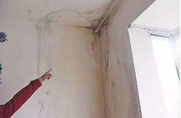 土木工程室内装饰家装维修翻新皇家国际装饰