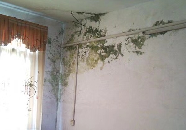 土木工程室内装饰家装维修翻新皇家国际装饰