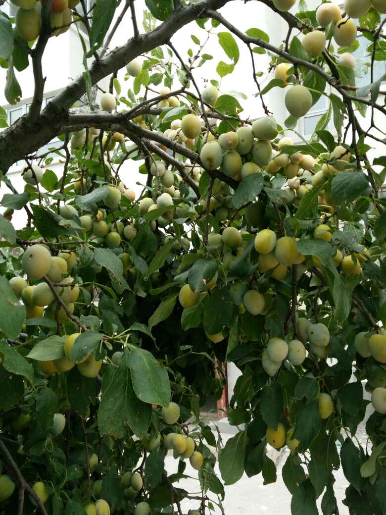 家具安装家具安装衣柜专业家具安装