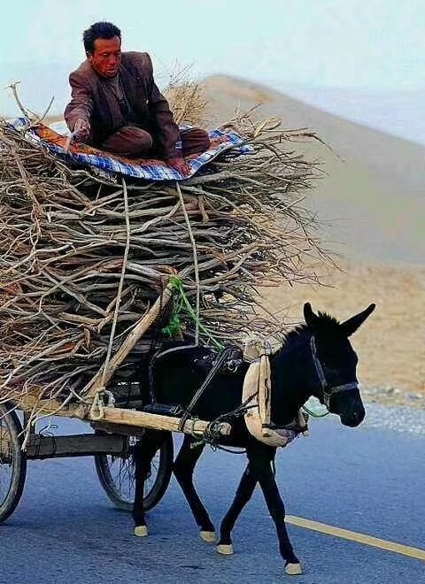 家具安装家具安装配送家具换位搬迁家装