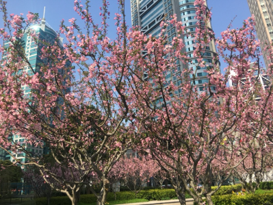 水电安装维修水电设计施工未编辑专业未编辑专业