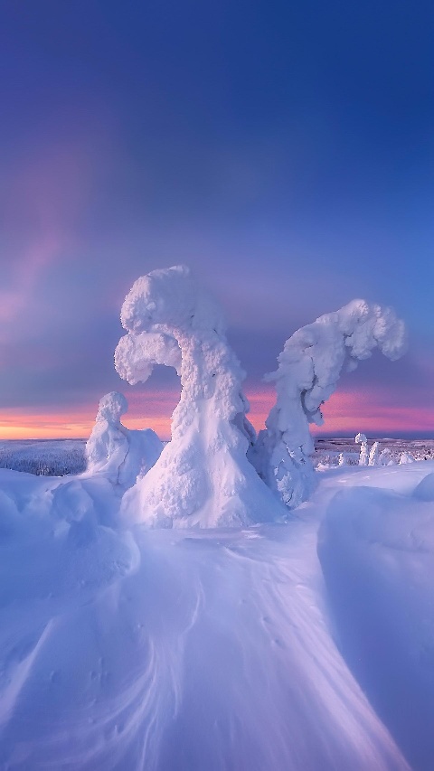 家具安装维修家具安装维修家具安装维修未编辑专业