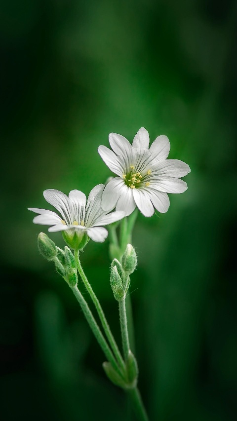 泥工墙砖地砖泥工地砖墙砖未编辑专业未编辑专业