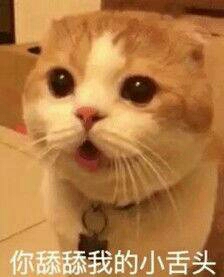 门窗维修无无未编辑专业