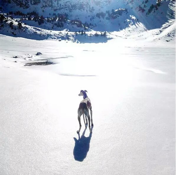 保洁电工保安保姆