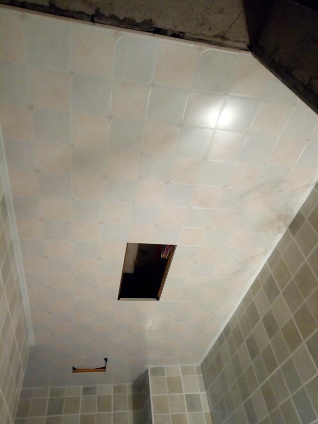 伟美集成吊顶吊顶未编辑专业未编辑专业