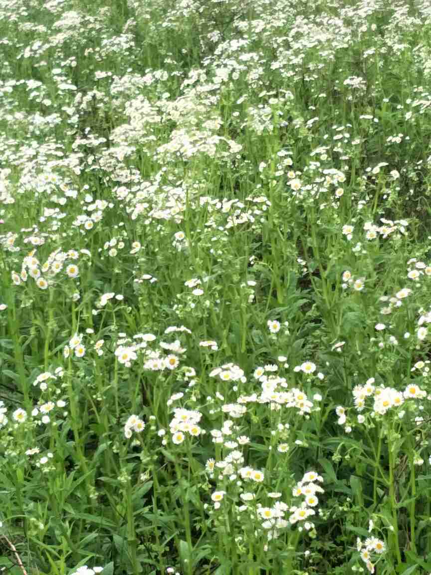 木工师傅未编辑专业未编辑专业未编辑专业