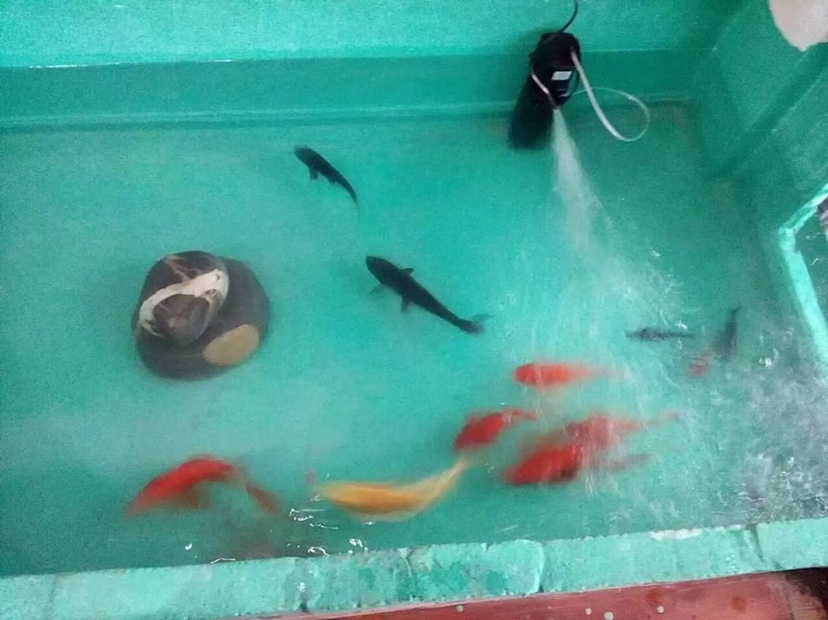 建材未编辑专业未编辑专业未编辑专业