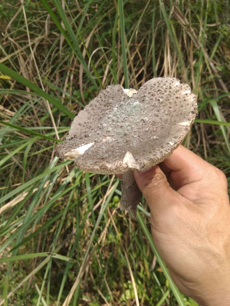 家具配送安装全屋定制家具货运家具配送安装