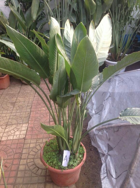 搬家拆装家具拆装家具速运搬家拆装家具网购家具安装