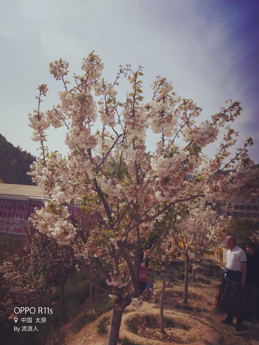 水电改装维修水电安装维修未编辑专业未编辑专业