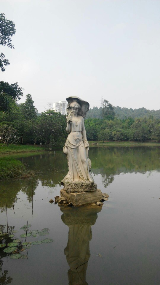 专业维修空调空调安装维修空调清洗空调冰箱雪种