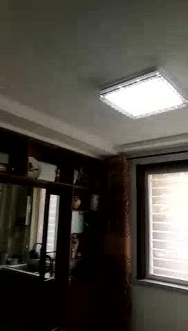 洁具灯具安装灯具洁具安装未编辑专业未编辑专业