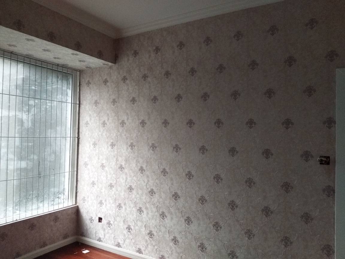 专业贴壁纸专业贴壁纸未编辑专业未编辑专业