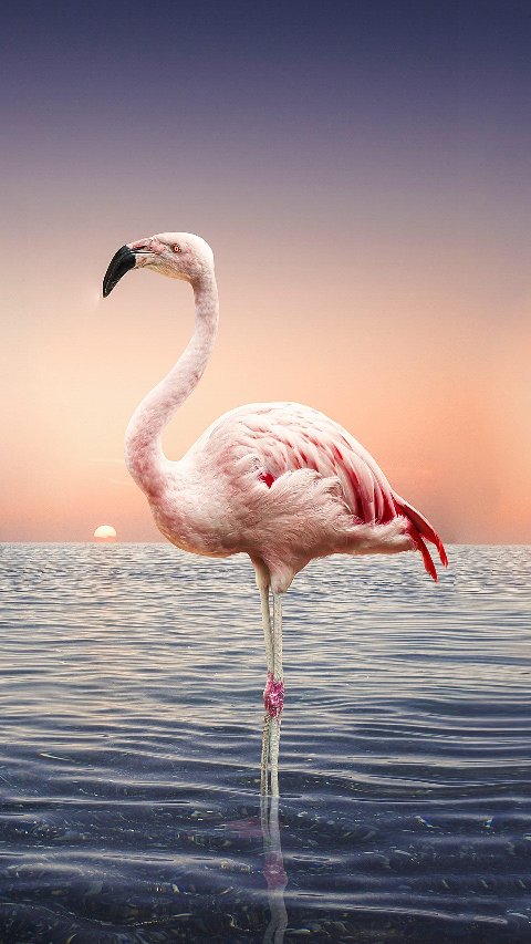 制冷维修制冷维修制冷维修制冷维修