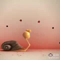 家具安装服务洁具销售安装升降晾衣杆洁具厂家供应