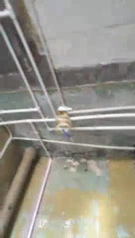 电工瓦工工油工木工